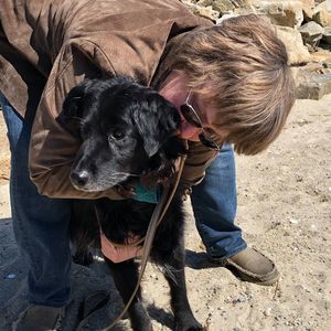 Meet your Posher, Joanne